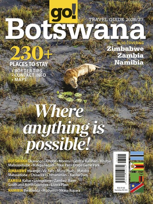 Cover image for go!